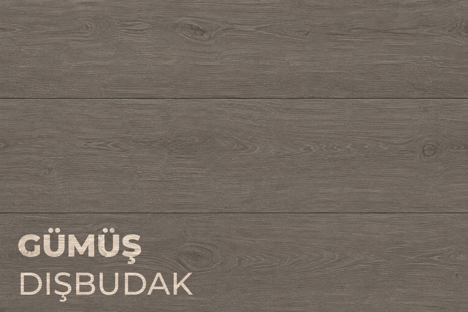 gumus dısbudak desen