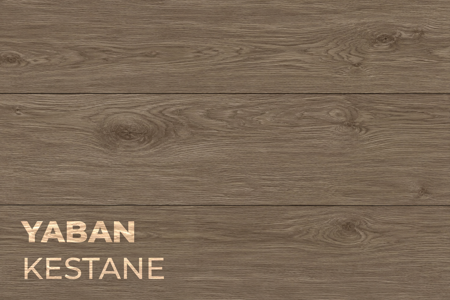 yaban kestane desen